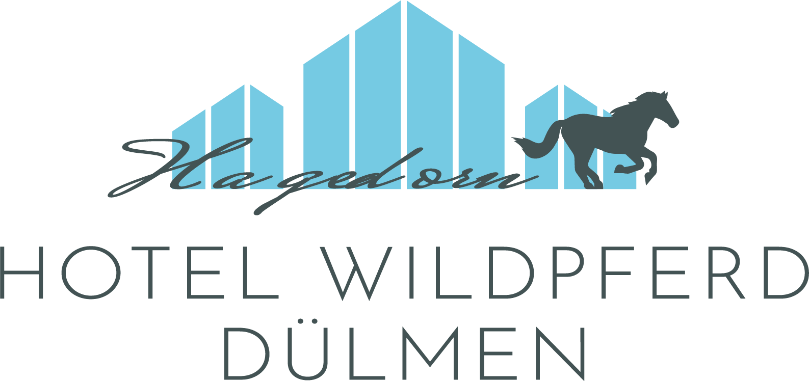 Hagedorn Privathotels Logo Hotel Wildpferd Duelmen Rz